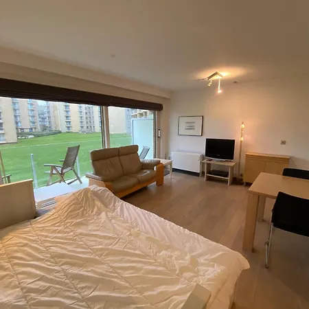 In Near The Appartement *