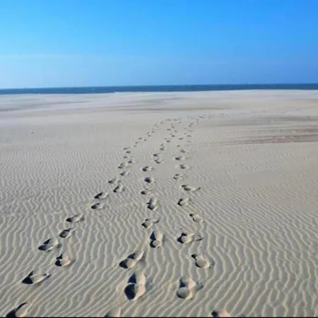 In Near The דירה *