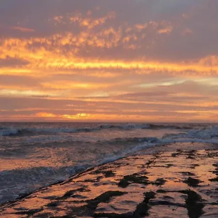 Appartement In Near The *