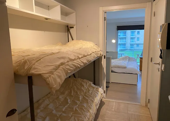 Apartman In Near The