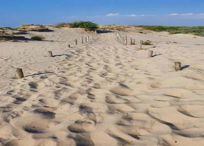 In Near The Nieuwpoort